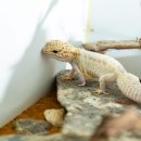 비타민동물병원 이미지