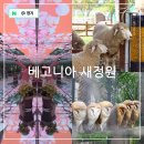 서진주IC 인공폭포 | 가평 실내 가볼만한곳 아이와 놀거리 베고니아 새정원 동물원