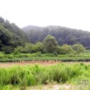 병마산성兵馬山城 | 四字成語 총정리 <ㅅ> 338 서리지탄~서면출원