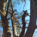 수도녹색숲모티길 | [김천 수도산] 정상에서 마주한 전율, 가야산이 손에 잡힐 듯한 압도적 조망