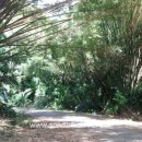 카리브의 일몰 이미지