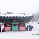 태백