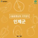 인제상회 네이버블로그