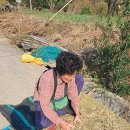 한울농장 이미지