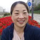 도봉-도봉-서울도봉-2442 이미지