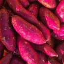 부유농장 이미지