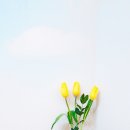 네일바이원 이미지