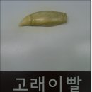 울산여행/국내 유일의 고래관광을 즐길 수 있는 장생포 고래박물관 이미지