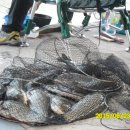 고초골낚시터 이미지