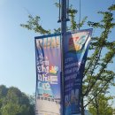 11545-10-30-27 | [마라톤] 제27회 화성효마라톤 10km 후기