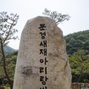 해태크예천32호 | 고향의 길, 문경 새재를 걷다