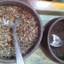 수지골남원추어탕 이미지