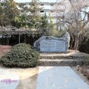 목도가축병원 네이버블로그