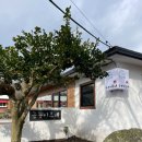금능이모네 | 제주도 죽 맛집 금능이모네 현지인추천 내돈내산 전복죽 얼큰문어죽