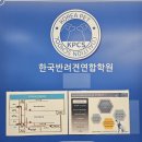 한국반려견연합학원 - 순천시 신대2길 6-55 | 순천애견미용학원 반려견 애견미용자격취득 후기