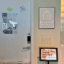 강릉 반려견 호텔 유치원 로젯펫살롱 세인트존스호텔점 이미지