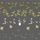 스타벅스 명동 중앙로 이미지