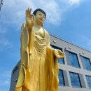한국불교대학 대관음사 | [사찰여행] 경주 감포 한국불교대학 대관음사 감포도량 무일선원 무문관, K-붓다빌리지 3부(바다가...