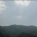 다리안민박 티스토리