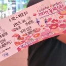 왕등갈비 김치찜