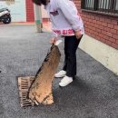 반송2동-31 이미지