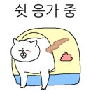 카페 모아나 이미지