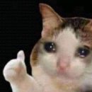 하군이네 동물병원 | 260307 뮤지컬 라이프오브파이 박정민 관극 후기