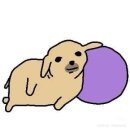 안녕오늘 풀빌라펜션 이미지