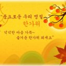 참사랑침구 - 1016 | 참사랑침구