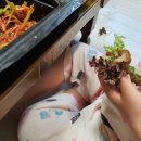 아리랑족발쓰리랑보쌈 이미지