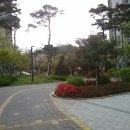 푸르지오행복숲어린이집 이미지
