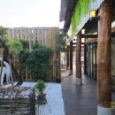 포레스트 경주(Forest 경주) 이미지