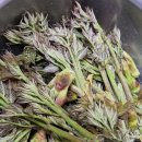 엄마네농장 이미지