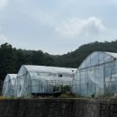 송씨네농장 이미지