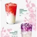 스타벅스 문정하비오점