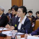 헌법학자 "헌법상 기관인 검찰청을 하위 법률로 바꾸는 건 위헌" 이미지