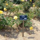 곡성-166 이미지