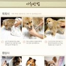 헤어샤이닝 네이버블로그