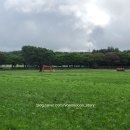 빽다방제주함덕점 이미지