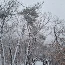 [23-1230.토] 사패산 ~ 도봉산 (23년 송년 / 눈꽃 산행) 이미지