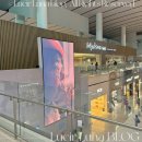 NR-17[공항로]-하-171 | 마티나골드라운지 인천공항 제2터미널 마티나라운지 차이 라운지 제휴카드 등 이용시설 리뷰