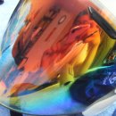 무지개화이트 이미지