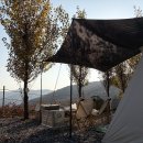 샤워하는 강아지 | 가을 감성 가득했던 2박 3일 엘모로 캠핑파크 후기