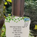 고성 낚시터 이미지