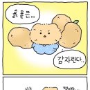 언니생각 이미지