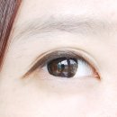 베스콘라인 이미지