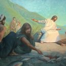 베드로의원 이미지