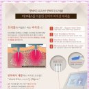 아그네스 이미지