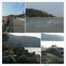 배미꾸미민박 이미지