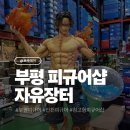 용마초등학교 | 인천 부평 창고형 피규어샵 자유장터 방문 후기 영업시간 주차